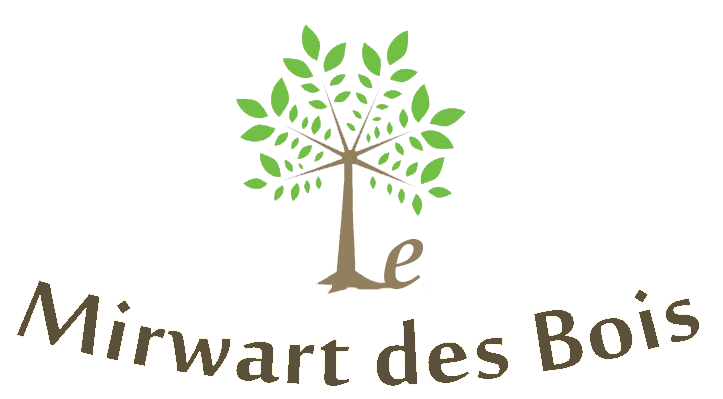 logo mirwart